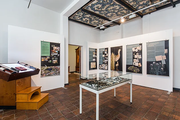 Naturerlebnis im Museum